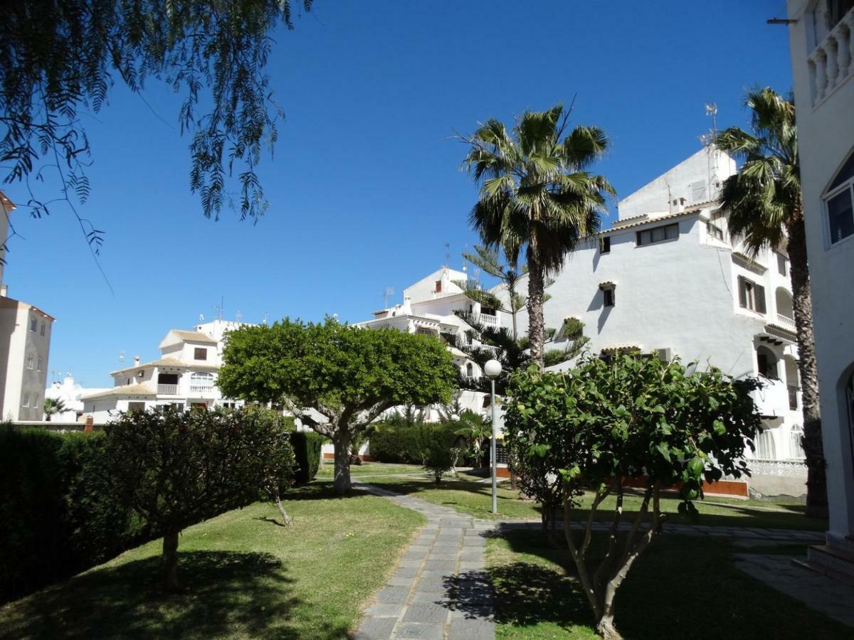 Apartamento Inez 托雷维耶哈 外观 照片